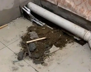 南开卫生间漏水检测哪家好